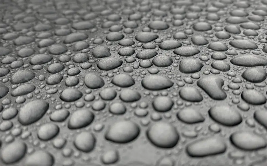 Rainwater standing on a silver painted panel as hundreds of separate round beads rather than a sheet. Each bead holds a tight domed shape on the surface, which is what a coated panel does with water.